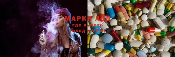 PSILOCYBIN Алзамай