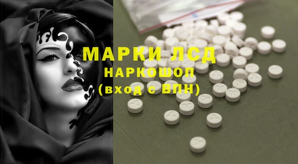 прущие грибы Алексеевка