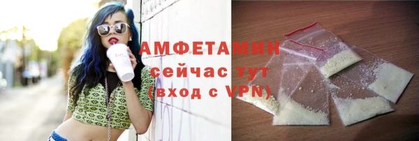PSILOCYBIN Алзамай