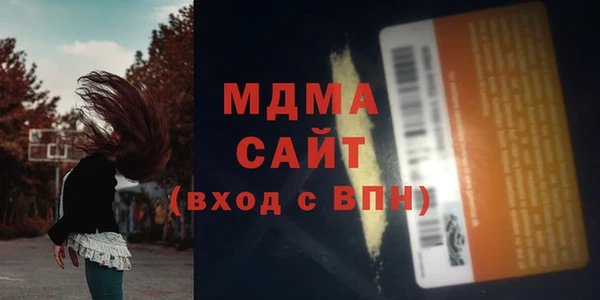 PSILOCYBIN Алзамай