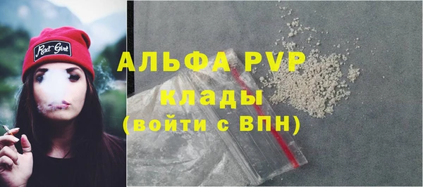 apvp Алексин