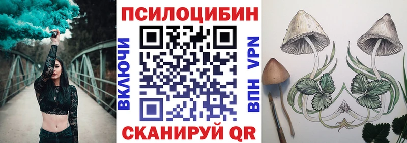 дарнет шоп Лабинск Псилоцибиновые грибы Magic Shrooms